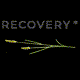 recoverybookru