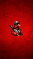 redbirdriot