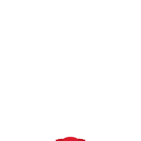 remaxfuturosantafe