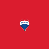 remaxmillennium