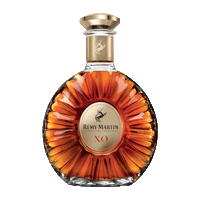 remymartinus