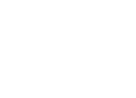 vibeizol