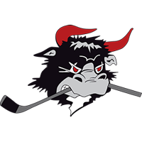 rodovremightybulls