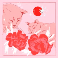 rosecartwrightillustration