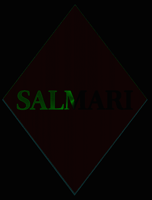 salmaribeyondthedark