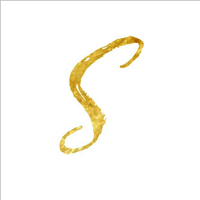 salonownerscollective