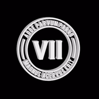 theviicrew