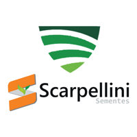 scarpellinisementes