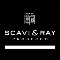 scaviray-com