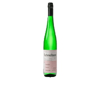 schnelltestwein