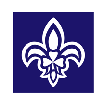 scoutingireland