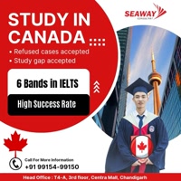 seawayconsultantch