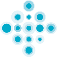 secoreinternational
