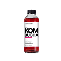 seeknorthkombucha