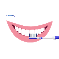sensodyne_my