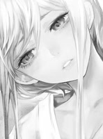 shadow040