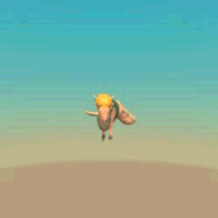 shadydingo
