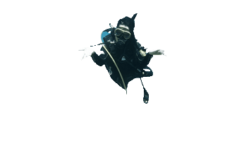 skartelias