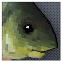 skcotterell