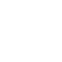 slamdisques