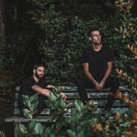 slenderbodies