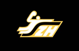 slovakhandball