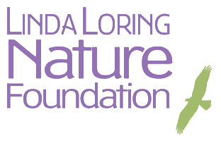 loringnatureack