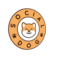 socialdog_id