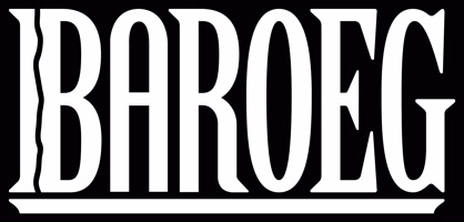 baroegrotterdam