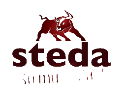 stedaneben