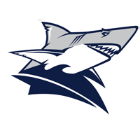 steelsharks_traun