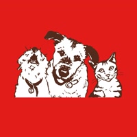 stellaandchewys