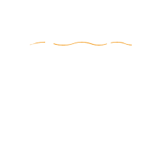 stollerbabauszoakademiaa