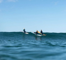 surfsistas