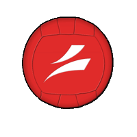 swissdodgeball
