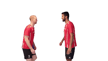 swiss_volley