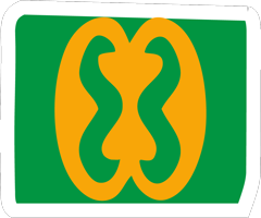 talentosaccor-