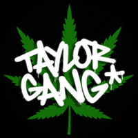 taylorgang