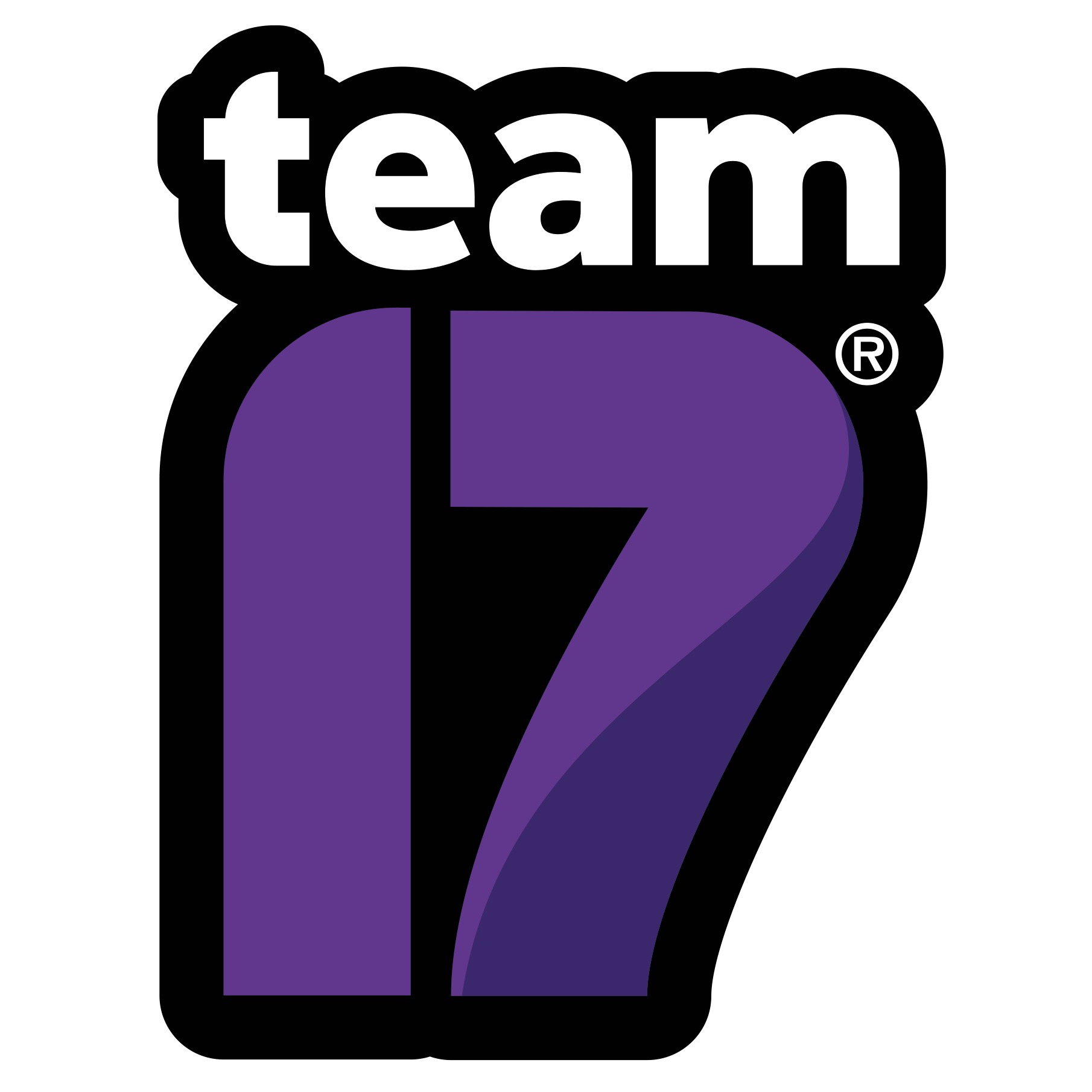 Team 17 steam фото 3