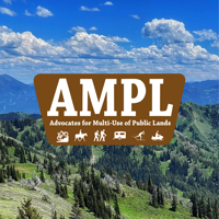 teamampl