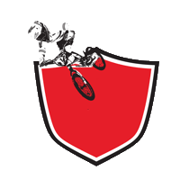 teamtvesport