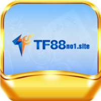 tf88no11