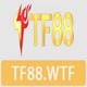 tf88wtf
