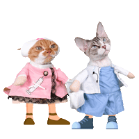 theRockstarCats