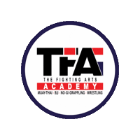 the_fighting_arts_academy
