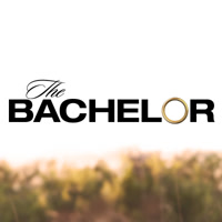 thebachelor