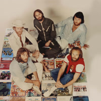 thebeachboys