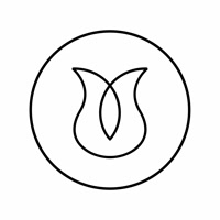 thebloomi