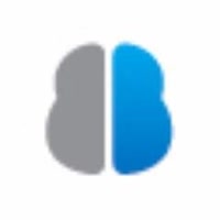 thebusinessbrain