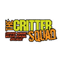 thecrittersquad